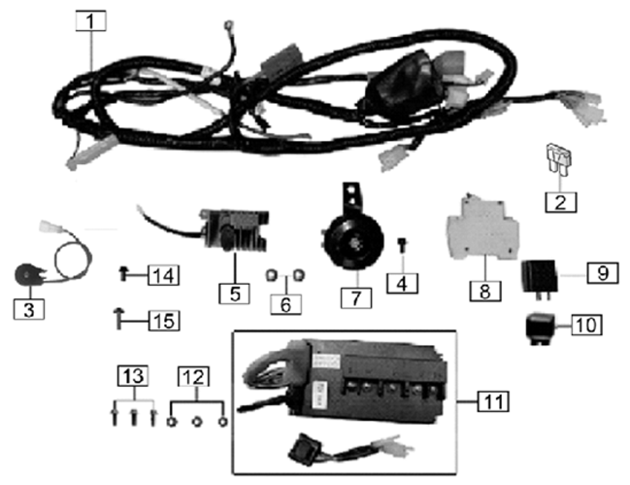 Electric Parts - The Wiz - OEM Replacement Parts | CSC Motorcycles